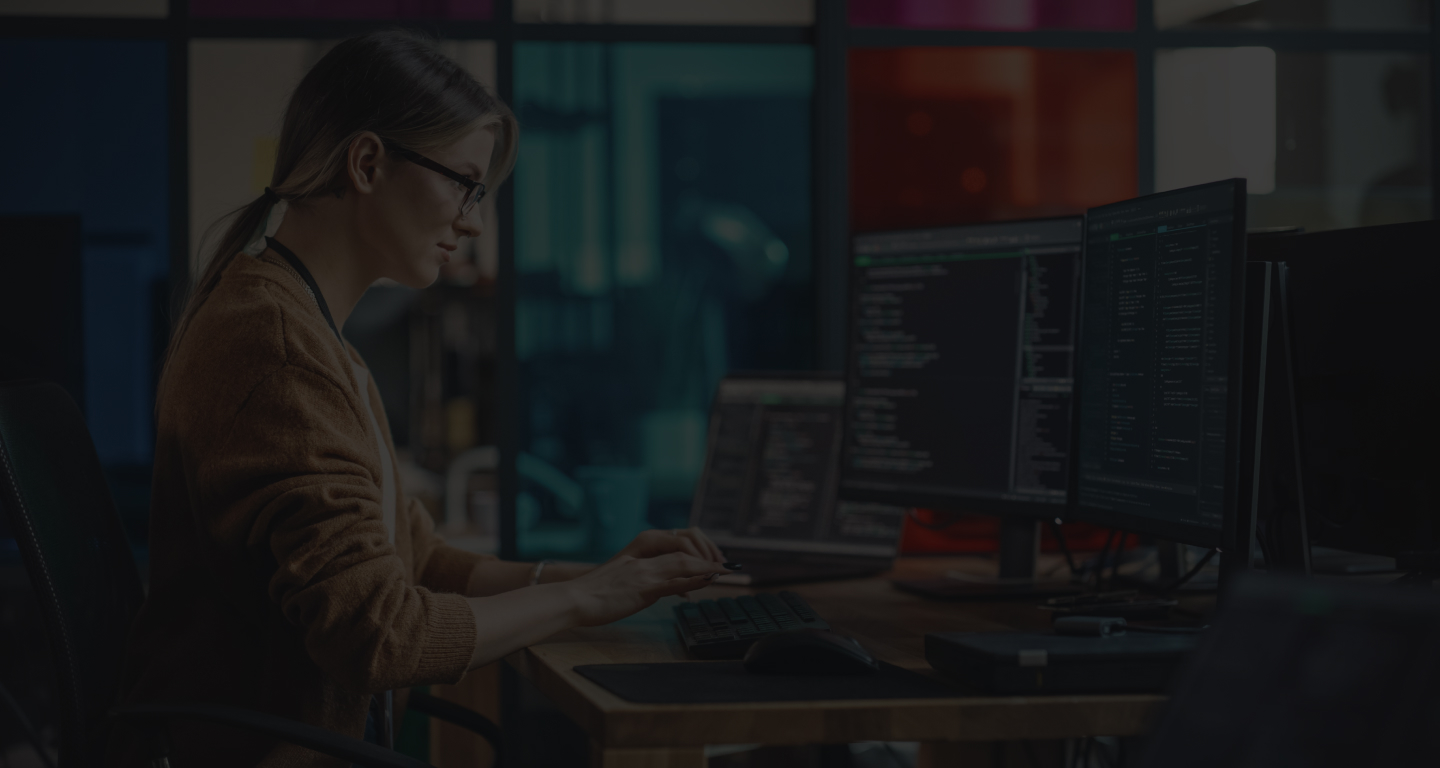 Custom ERP Software Solutions